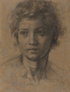 Tête de Saint Jean-Baptiste
