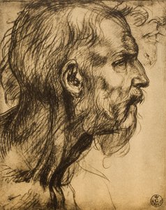 Tête du prophète Zacharie - Andrea del Sarto
