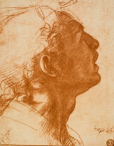 Tête masculine - Andrea del Sarto