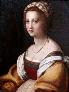 Portrait de femme - Andrea del Sarto