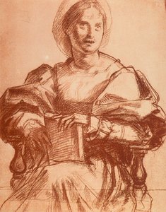 Portrait de Lucrezia del Fede - Andrea del Sarto