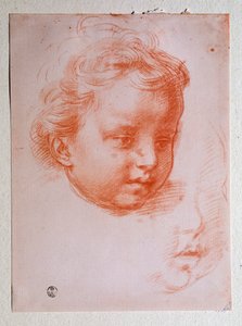Tête de putto - Andrea del Sarto