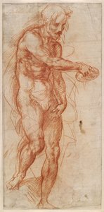 Étude de Saint Jean-Baptiste, vers 1518 - Andrea del Sarto