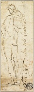 Homme nu debout - Andrea del Sarto