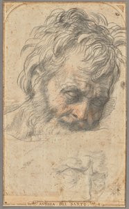 Etude pour la tête de Saint Joseph (recto) ; Deux études de jambes (verso) - Andrea del Sarto