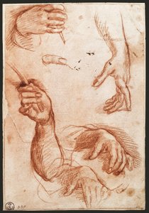 Étude de mains - Andrea del Sarto