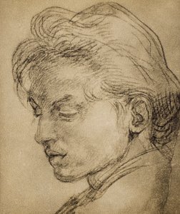 Tête virile de profil