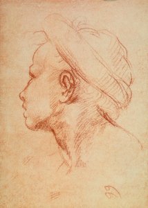 Tête de jeune en profil - Andrea del Sarto