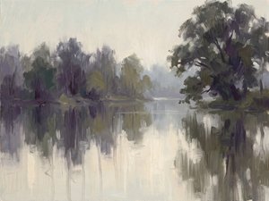 Reflets brumeux de rivière