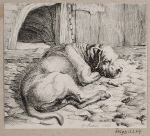 Un chien enchaîné endormi - Andreas Peter Madsen