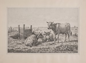Un taureau et deux vaches - Andreas Peter Madsen