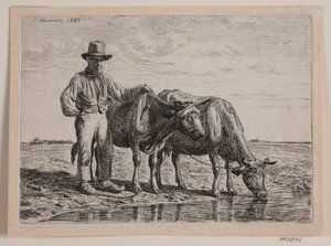 Berger avec des vaches