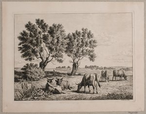 Paysage avec du bétail paissant