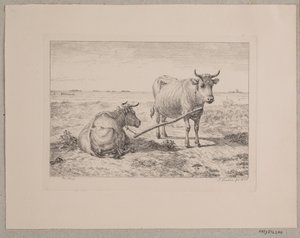 Deux vaches attachées ensemble - Andreas Peter Madsen