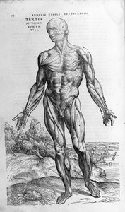 Andrea Vesalio (1514 - 1564), médecin de Charles V. "Humani corporis fabrica libri septem", Bâle 1543 - Andreas Vesalius