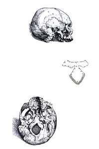 Les planches du premier livre de la De Humani Corporis Fabrica - Andreas Vesalius