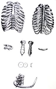 Les Planches du Premier Livre de la De Humani Corporis Fabrica - Andreas Vesalius