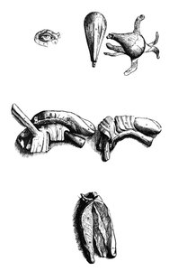 Les planches du deuxième livre de De Humani Corporis Fabrica - Andreas Vesalius