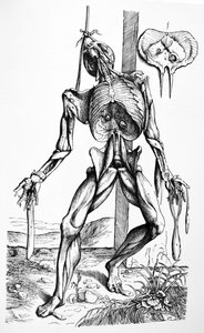 Les planches du deuxième livre de De Humani Corporis Fabrica - Andreas Vesalius