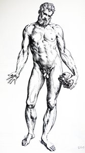 Les Planches du septième livre de De Humani Corporis Fabrica