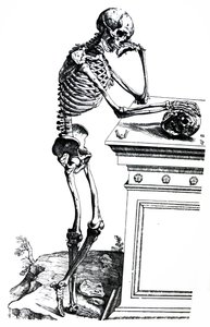Les planches du septième livre de De Humani Corporis Fabrica
