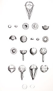 Les planches du septième livre de De Humani Corporis Fabrica - Andreas Vesalius