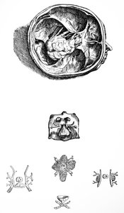Les Planches du septième livre de De Humani Corporis Fabrica - Andreas Vesalius