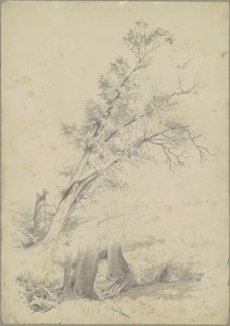 Arbres, Hudson
