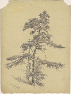 Arbres, Virginie-Occidentale - Andrew Fisher Bunner