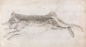 Lièvre Mort