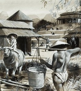 Agriculture en Chine (gouache sur papier) - Andrew Howat