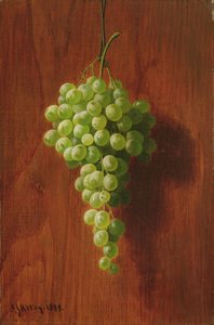 Raisins (verts)