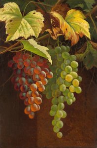 Deux grappes de raisin, s.d. (huile sur toile) - Andrew John Henry Way