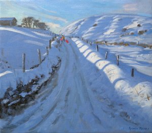 Tête de colombe - Andrew Macara