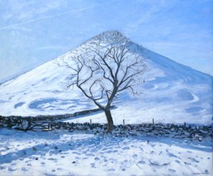 Colline et arbre, Derbyshire, 2008 - Andrew Macara