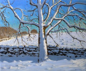 Arbre couvert de neige, 2011 - Andrew Macara