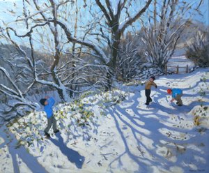 Bataille de boules de neige, 2007