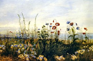 Vue de Kingstown et de la baie de Dublin - Andrew Nicholl