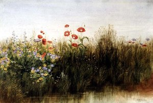 Fleurs sauvages près d