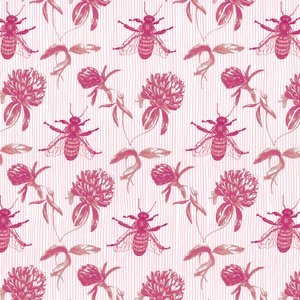Trèfle et abeille, 2017