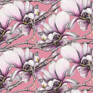 Magnolia