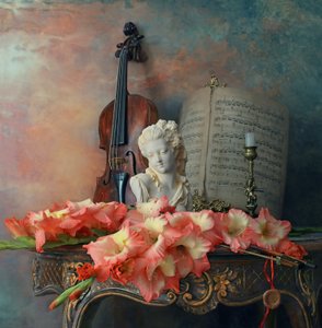 Buste de violon et glaïeul