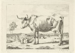 Vache dans le pré