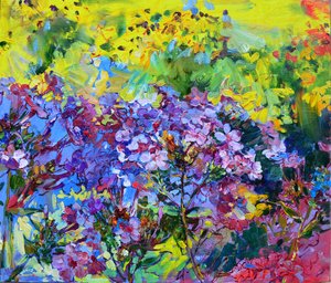 Jardin fleuri et coloré