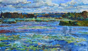 Nénuphars sur un lac paisible