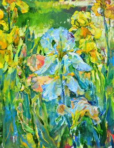 Un jardin d
