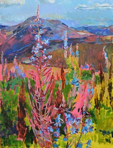 Fleurs de montagne aux couleurs éclatantes