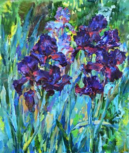 Des iris d