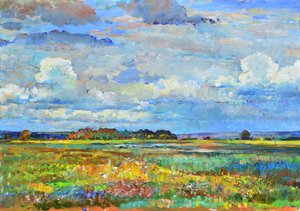 Un ciel éclatant au-dessus des champs