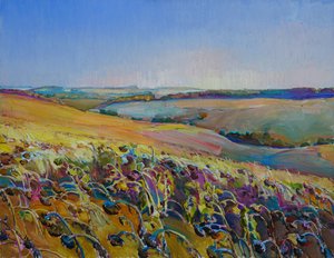 Des champs de tournesols aux couleurs éclatantes